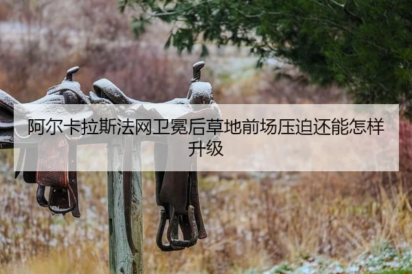 a-er-ka-la-si-fa-wang-wei-mian-hou-cao-di-qian-chang-ya-po-hai-neng-zen-yang-sheng-ji-2-866.jpg